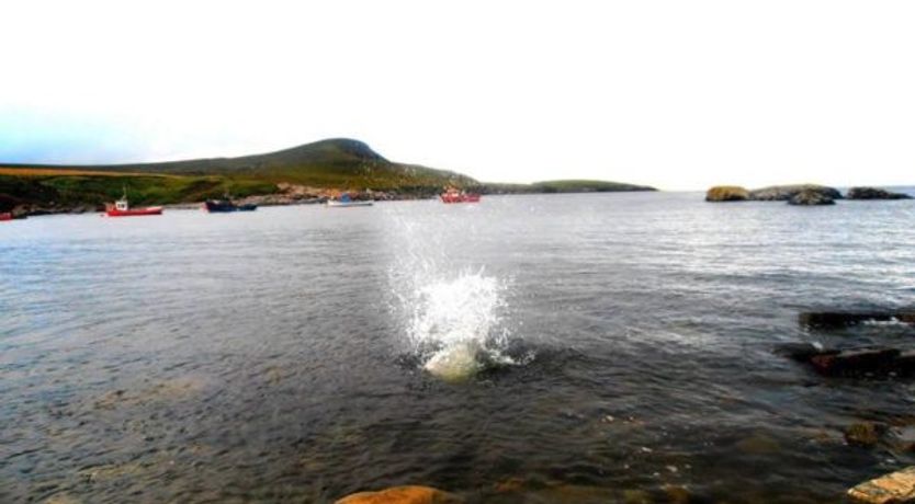 Photo of The Yellow Rose Bed And Breakfast