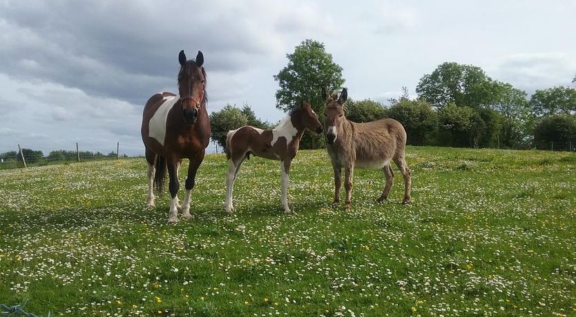 Photo of Rocksberry Bed And Breakfast