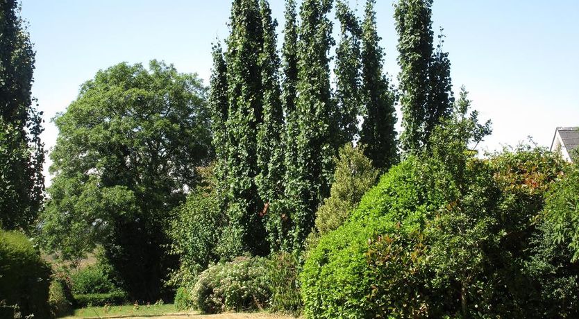 Photo of Kajon House B&B