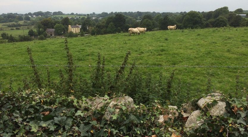 Photo of Breezy Heights