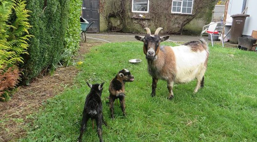 Photo of Dawn House Bed And Breakfast