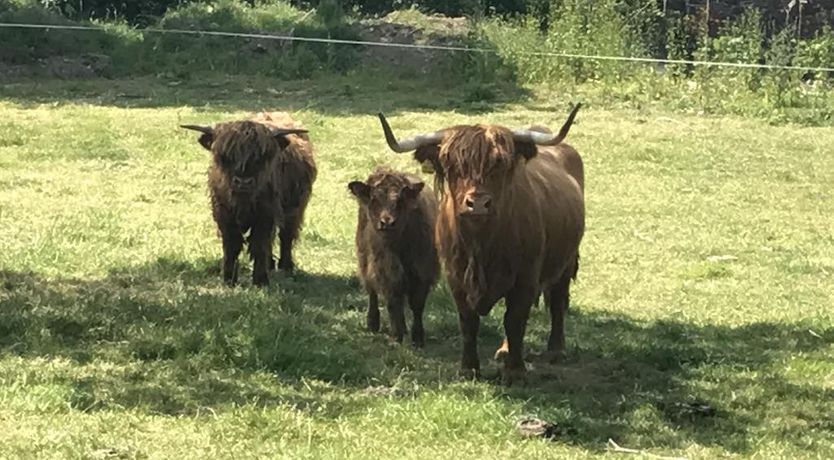 Photo of Glendine Country House