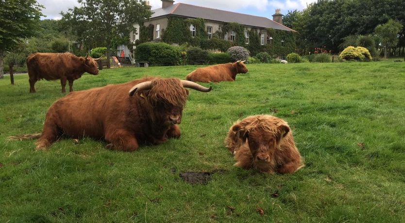 Photo of Glendine Country House