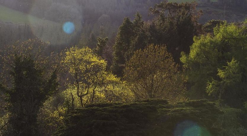 Photo of Mulvarra House