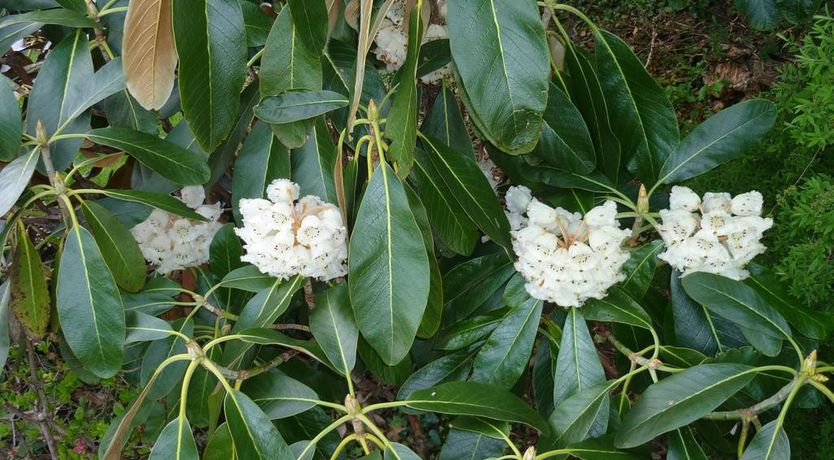 Photo of Carramore Lodge B&B