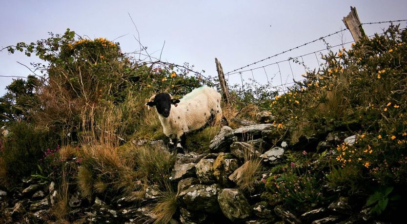 Photo of Weston House