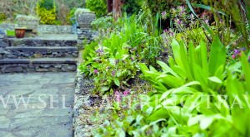 Photo of Sunnyside Bed And Breakfast