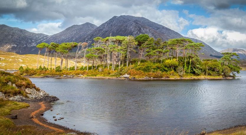 Photo of Ocean Villa B&B