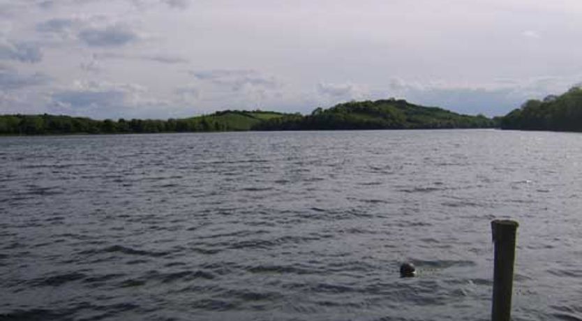 Photo of Rossmore Manor B&B