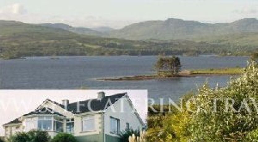 Photo of Blue Merles