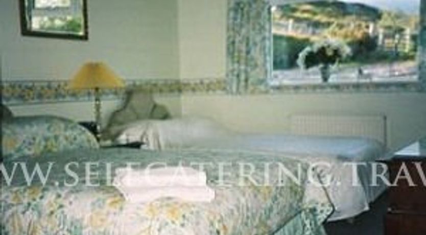 Photo of Blue Merles