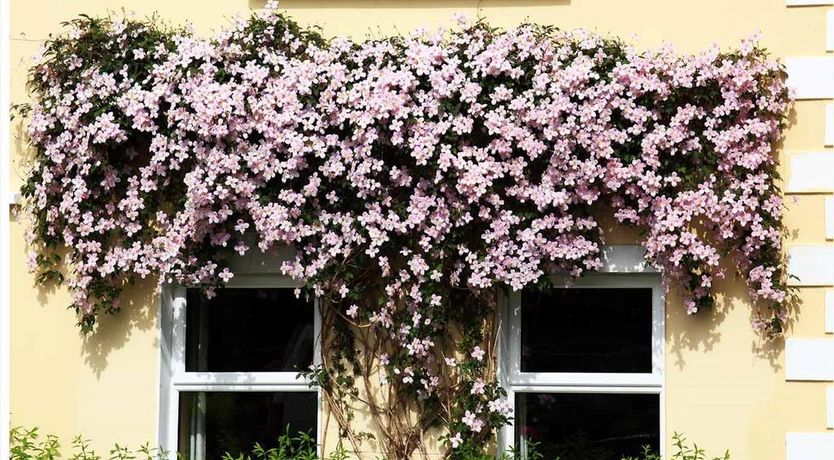 Photo of Oldchurch House B&B