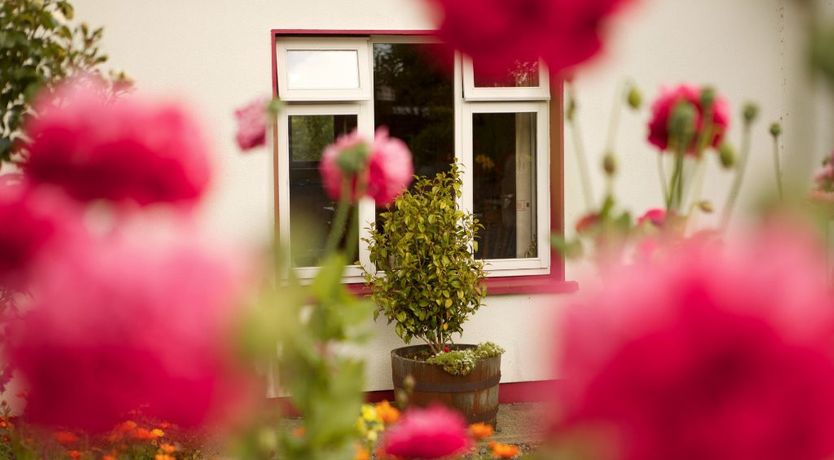 Photo of Teach Failte