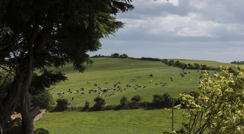 Photo of Ard Na Greine B&B