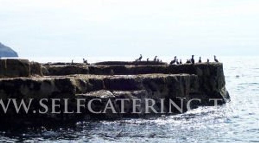 Photo of Emohruo Bed And Breakfast