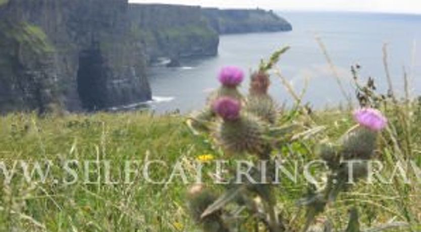 Photo of Emohruo Bed And Breakfast