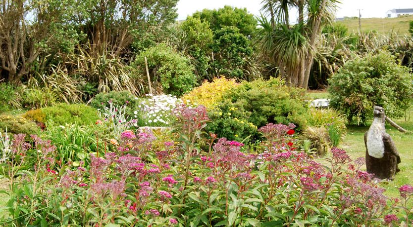 Photo of The Ocean Wave B&B