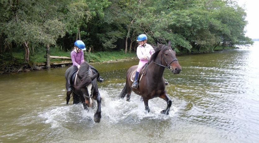 Photo of Ross House Equestrian Centre