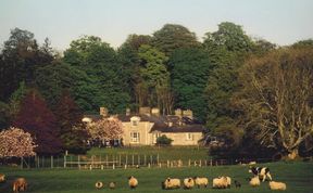 Photo of Ross House Equestrian Centre