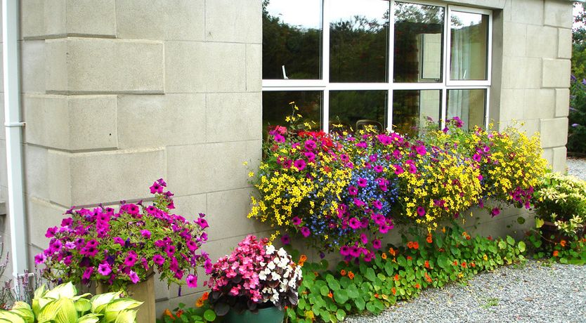 Photo of Trean House B&B