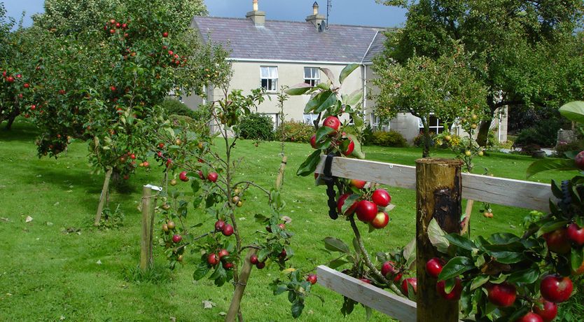 Photo of Trean House B&B