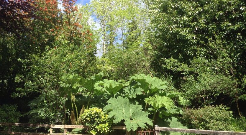 Photo of Waterfalls Farmhouse B&B