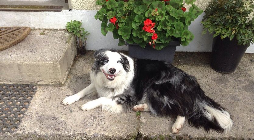 Photo of Waterfalls Farmhouse B&B