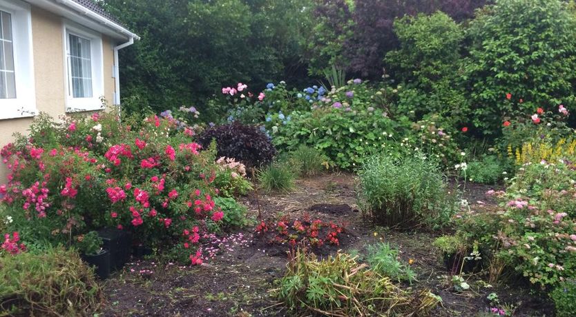 Photo of Green Isle B&B