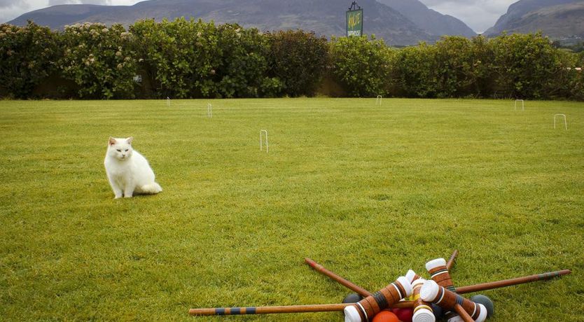 Photo of Kylie House B&B