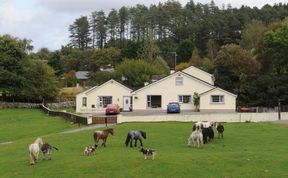 Photo of O Donovans Muckross Riding Stables