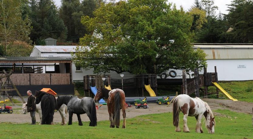 Photo of O Donovans Muckross Riding Stables