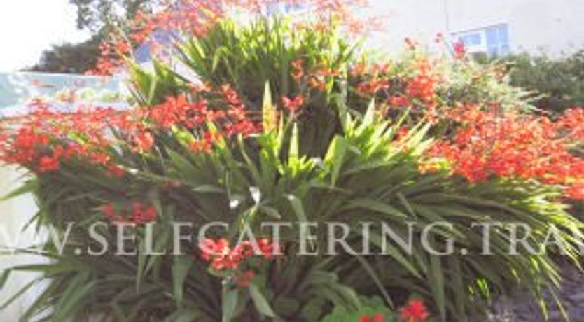 Photo of Dillanes Farmhouse