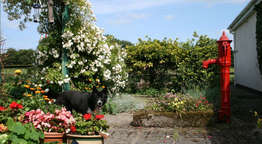 Photo of Setanta Farmhouse