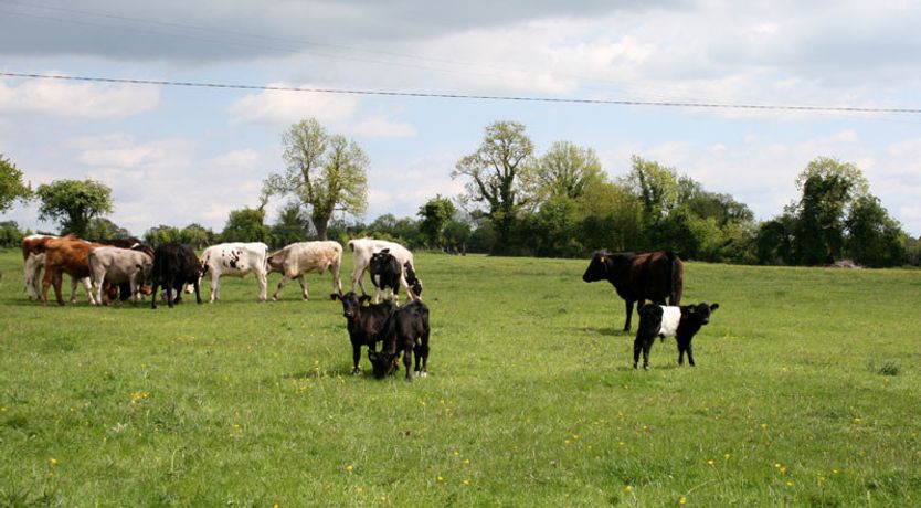 Photo of Setanta Farmhouse