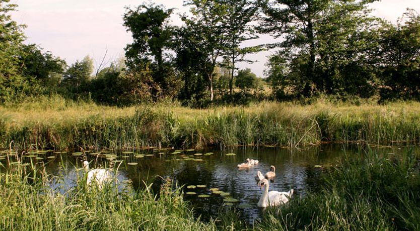 Photo of Setanta Farmhouse