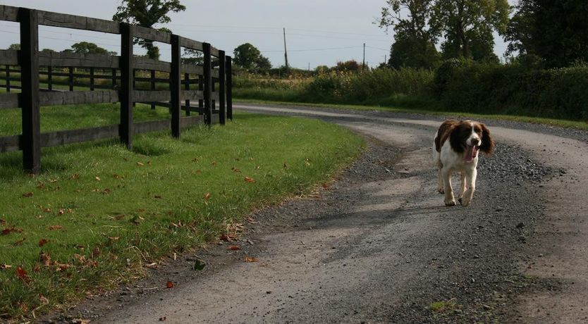 Photo of Moate Lodge B&B