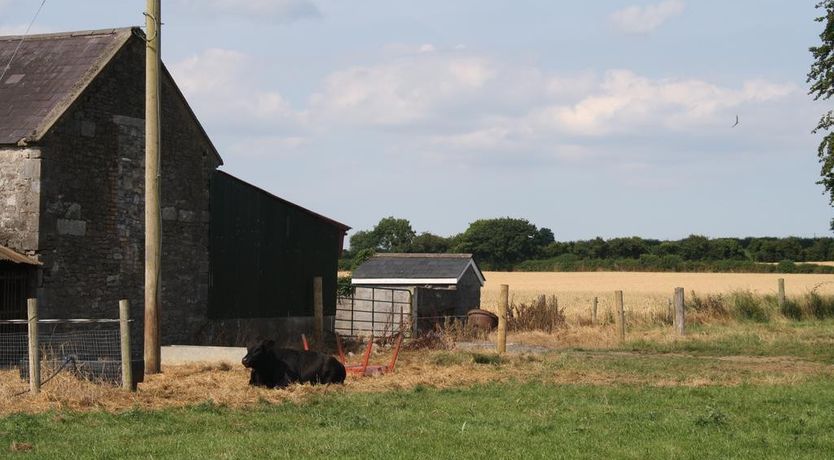 Photo of Moate Lodge B&B