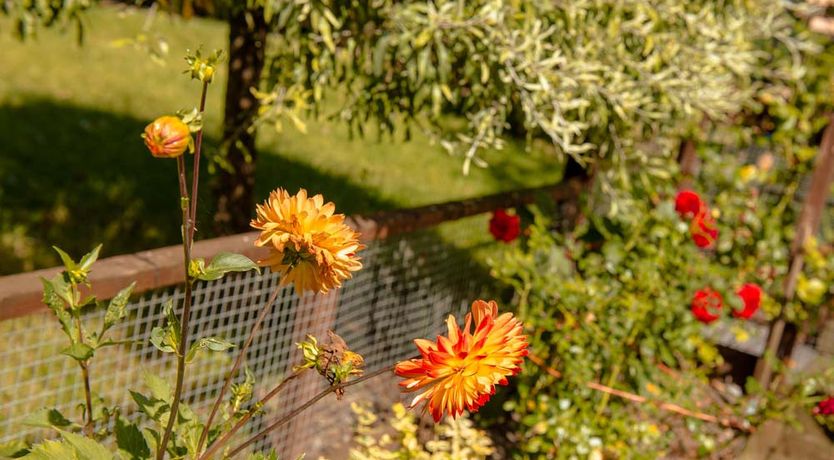 Photo of Castleview Farm B&B