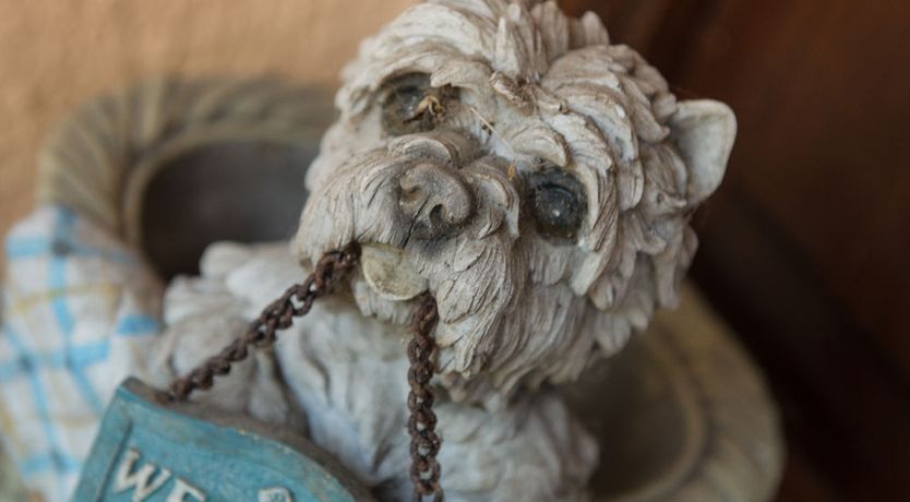 Photo of Castleview Farm B&B