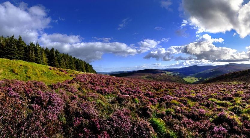 Photo of Ballinclea House B&B