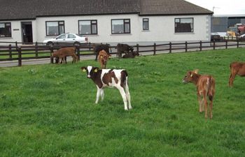 Ave Maria Farmhouse B & B Holiday Cottage