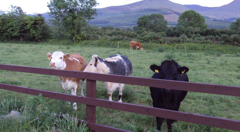 Photo of Homeleigh Farmhouse