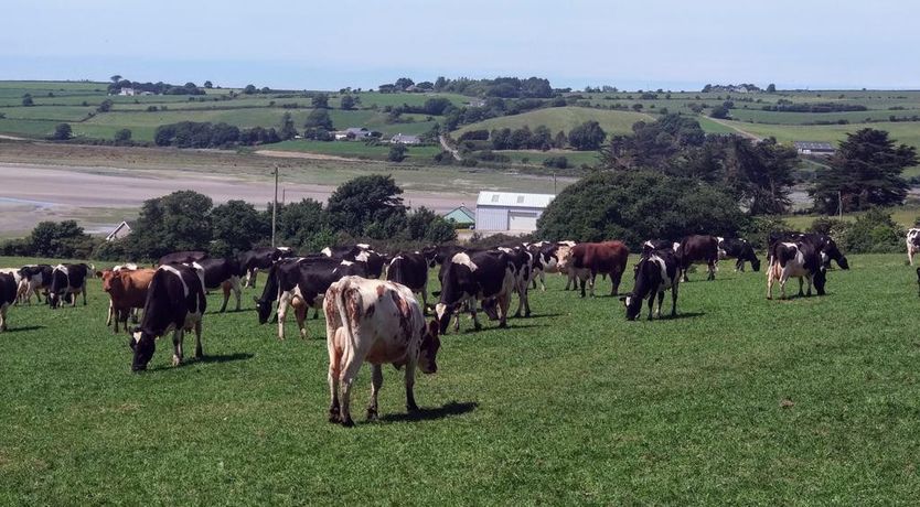Photo of Seafield Farmhouse B&B