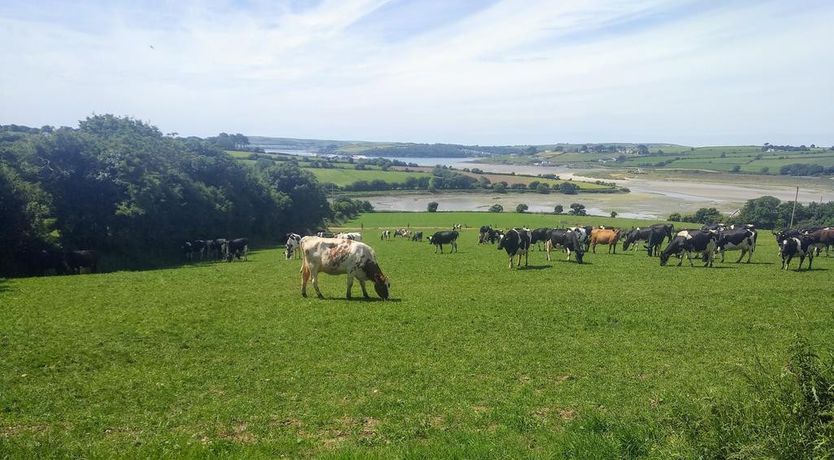 Photo of Seafield Farmhouse B&B