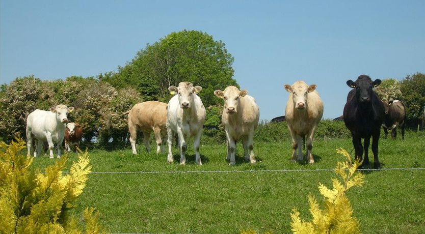 Photo of Seafield Farmhouse B&B
