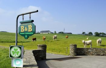 Coolbawn Lodge Farmhouse B&B Holiday Cottage