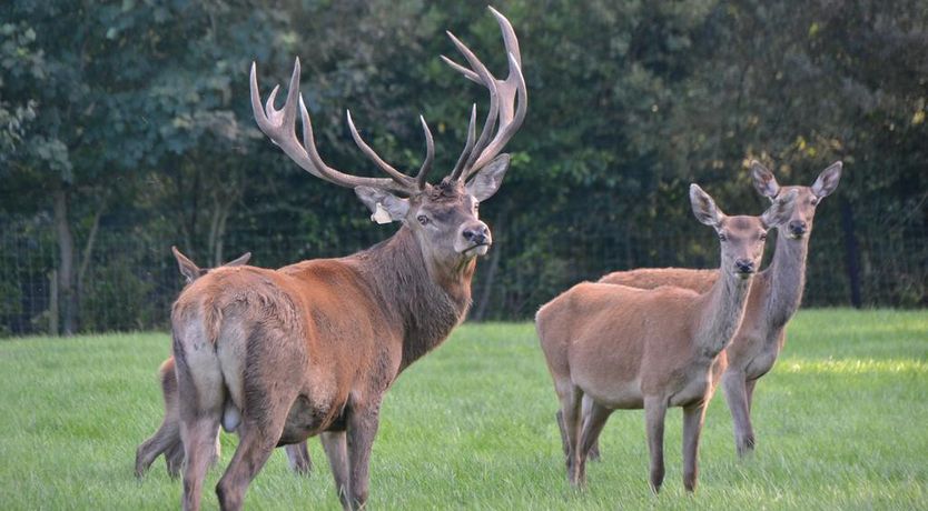 Photo of Ballinwillin House B&B