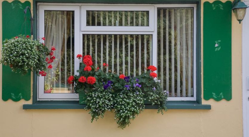 Photo of Danabel B&B