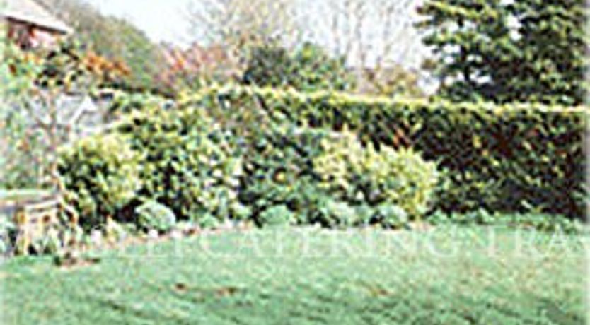 Photo of Atwestpoint