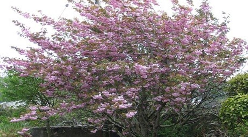 Photo of Carraroe House